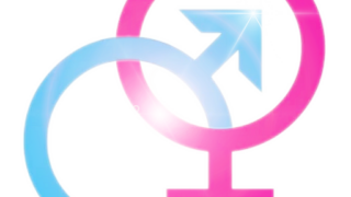 Sex Fans Ico